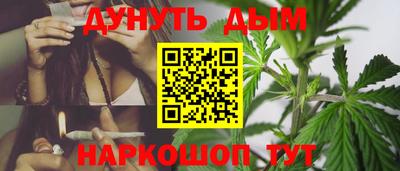 apvp Гагарин